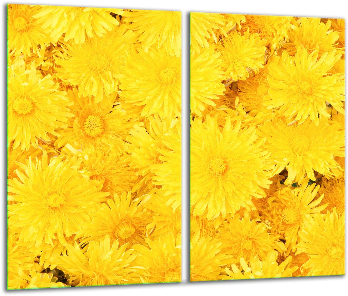 TMK ArtDeko - Snijplank Glas - 30x52 cm - Kleurvol - Kwiatowy Motief