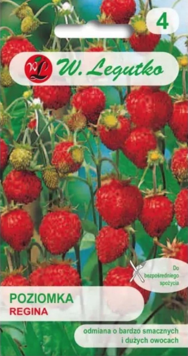 W.Legutko - Regina aardbeien