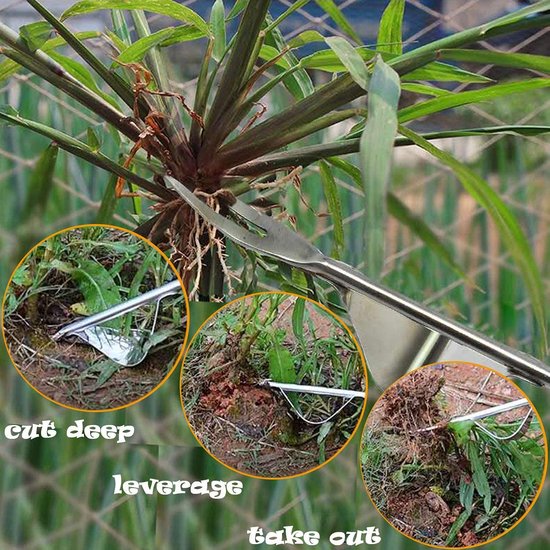 Roestvrijstalen Onkruidsteker - Met Houten Handvat - Handmatig Onkruid Wieden - 31.2x4.8cm - 1stuk van Merkloos	 — afbeelding 2