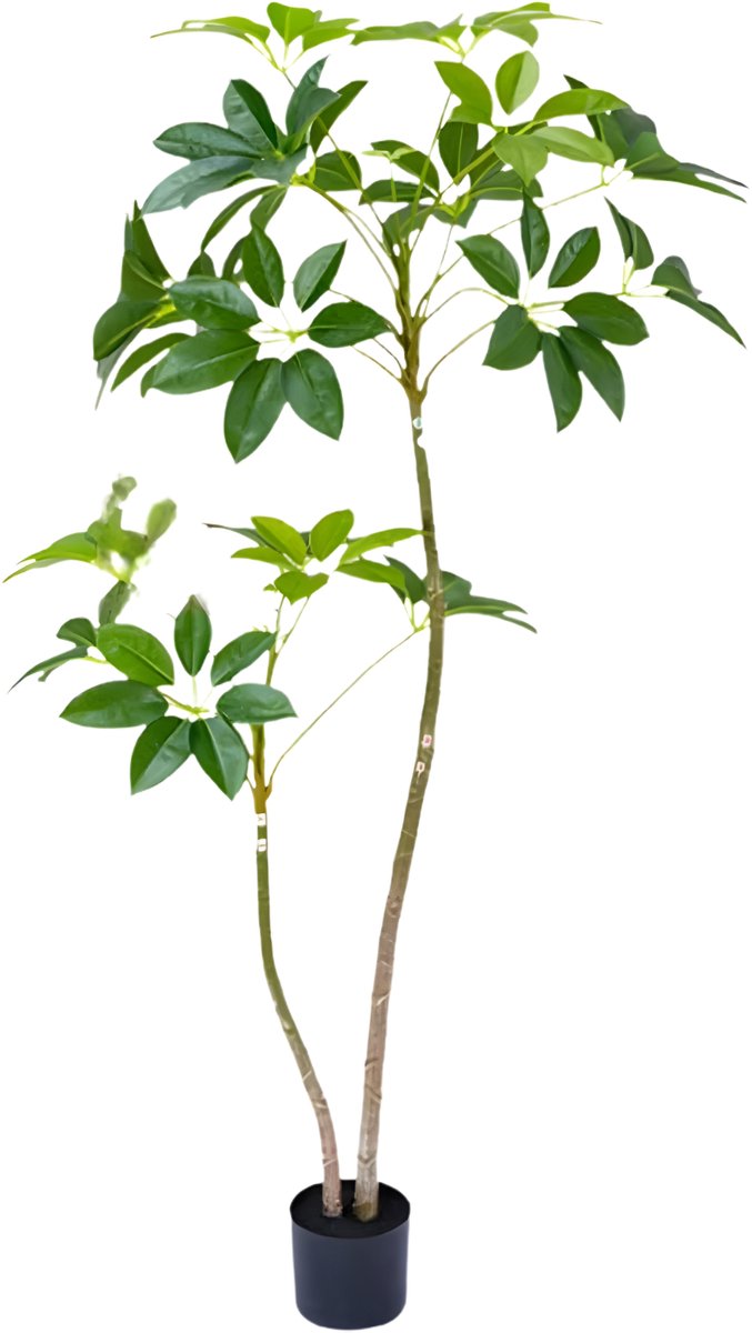 Happiq Kunstmatige parapluboom - Voor woonkamer & veranda - 160 cm hoge nepplant met plantenbak - Kunstblad in pot Groen