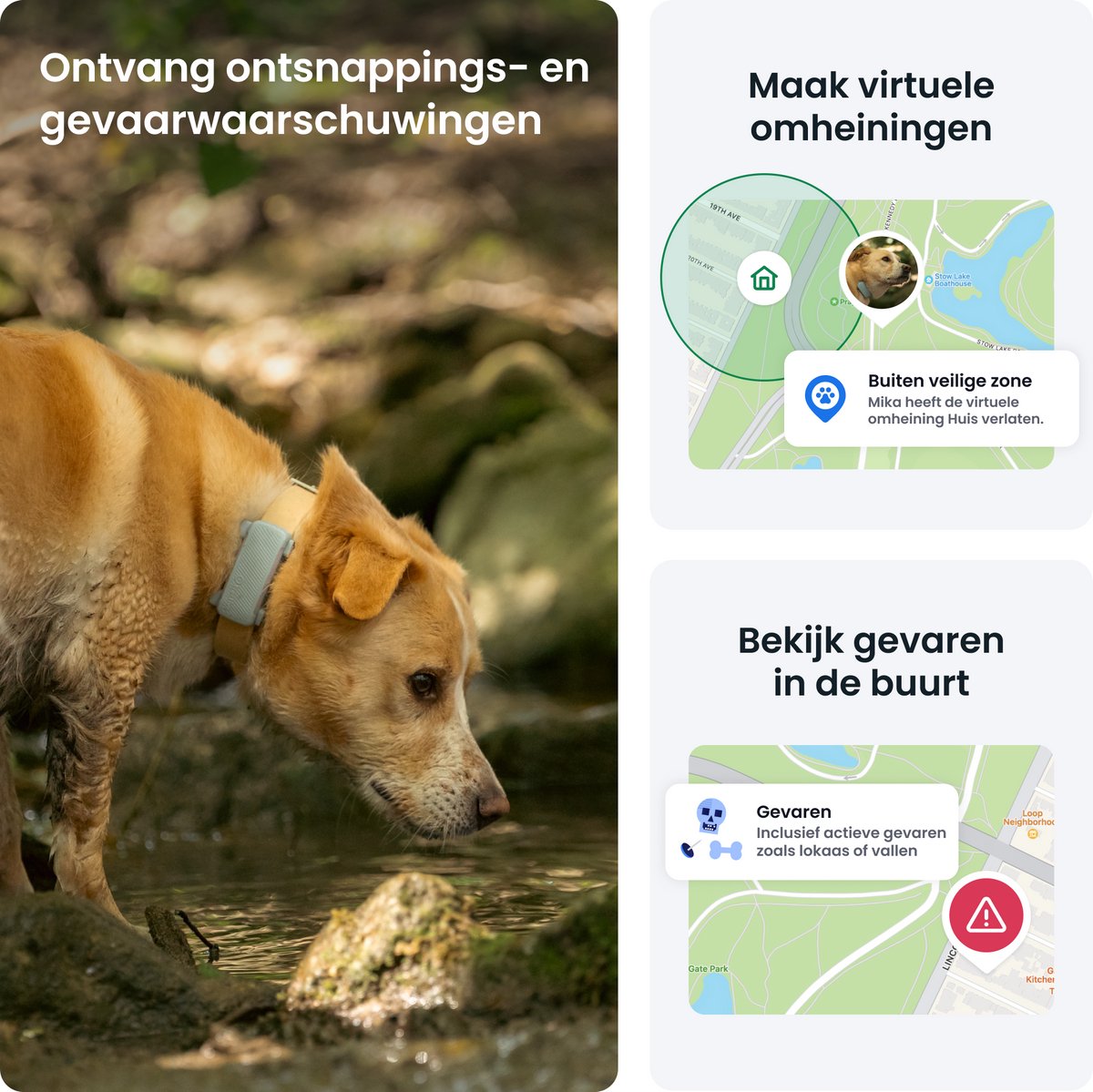 Tractive DOG 6 – GPS Tracker voor Honden - Real-Time Locatie, Activiteitenmonitor & Waterdicht - Past op Meeste Halsbanden – Munt thumbnail 5