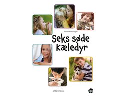 Læsefokus - Seks søde kæledyr