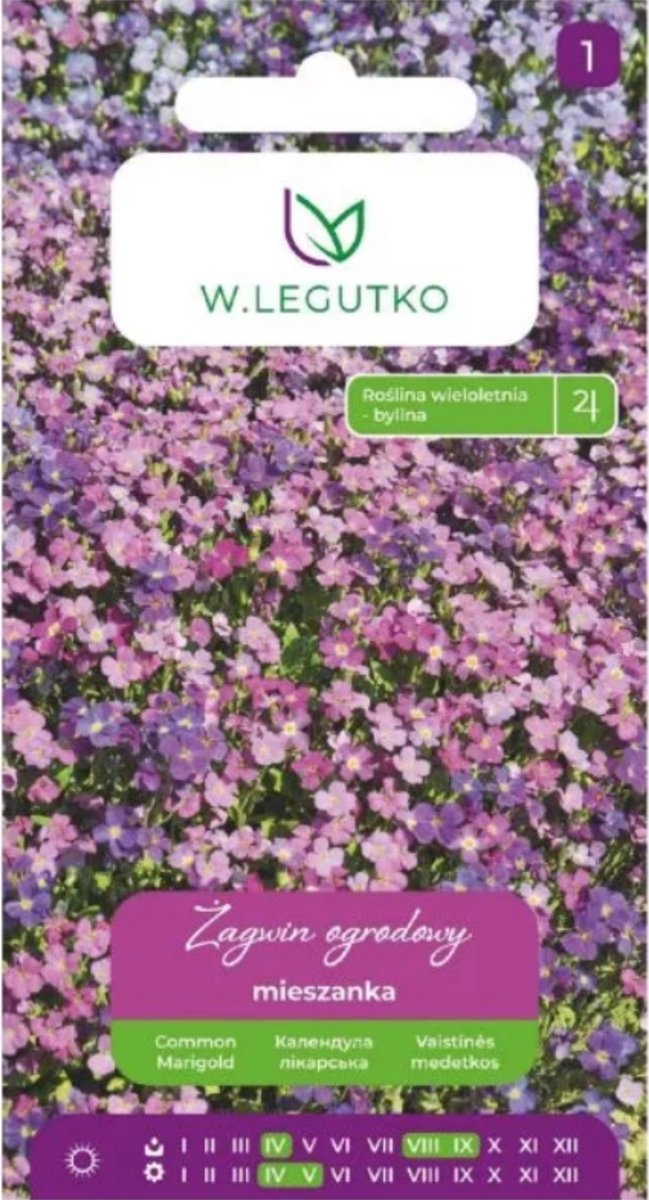 W.Legutko - Tuin bloemen mix - Blauw, roze, paars