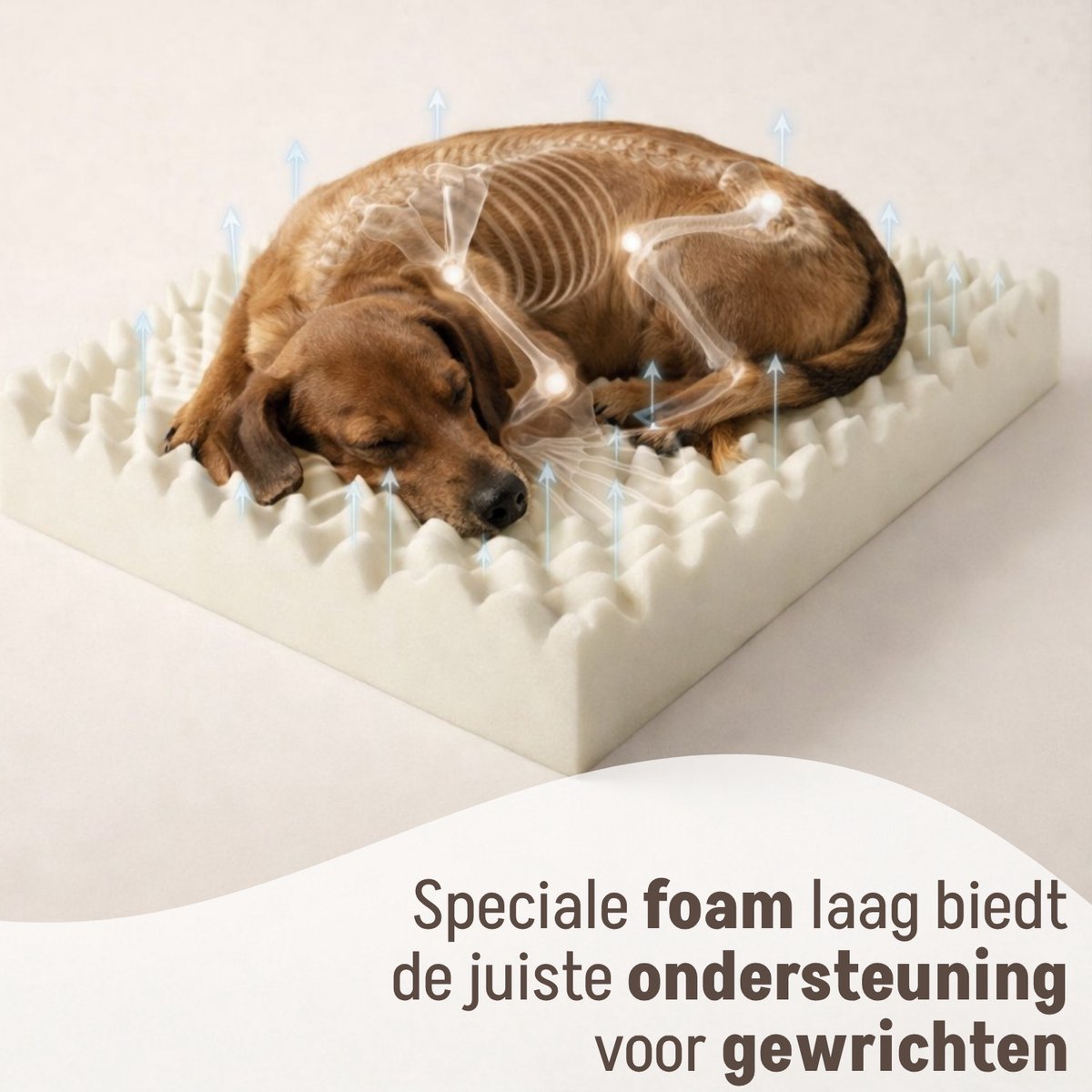 By Cee Cee Orthopedische Hondenmand – Orthopedisch Hondenkussen – Hondenbed – Ribstof - Voor Kleine Honden - Donkergrijs - 80x55cm - Jax – foto 3