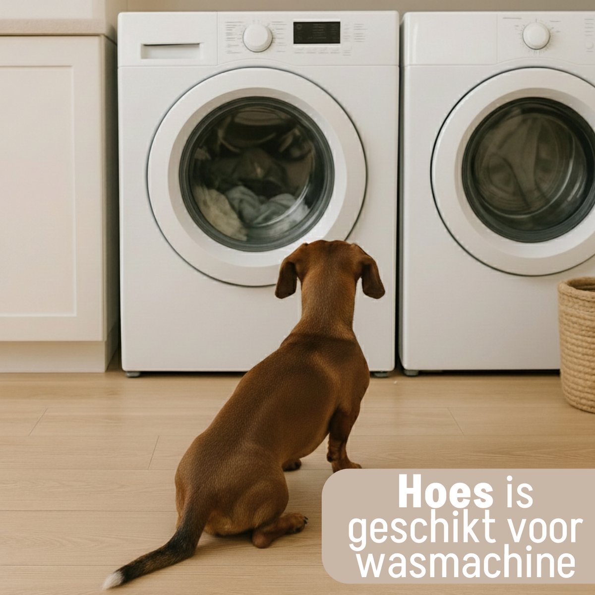 By Cee Cee Orthopedische Hondenmand – Orthopedisch Hondenkussen – Hondenbed – Ribstof - Voor Kleine Honden - Donkergrijs - 80x55cm - Jax – foto 8