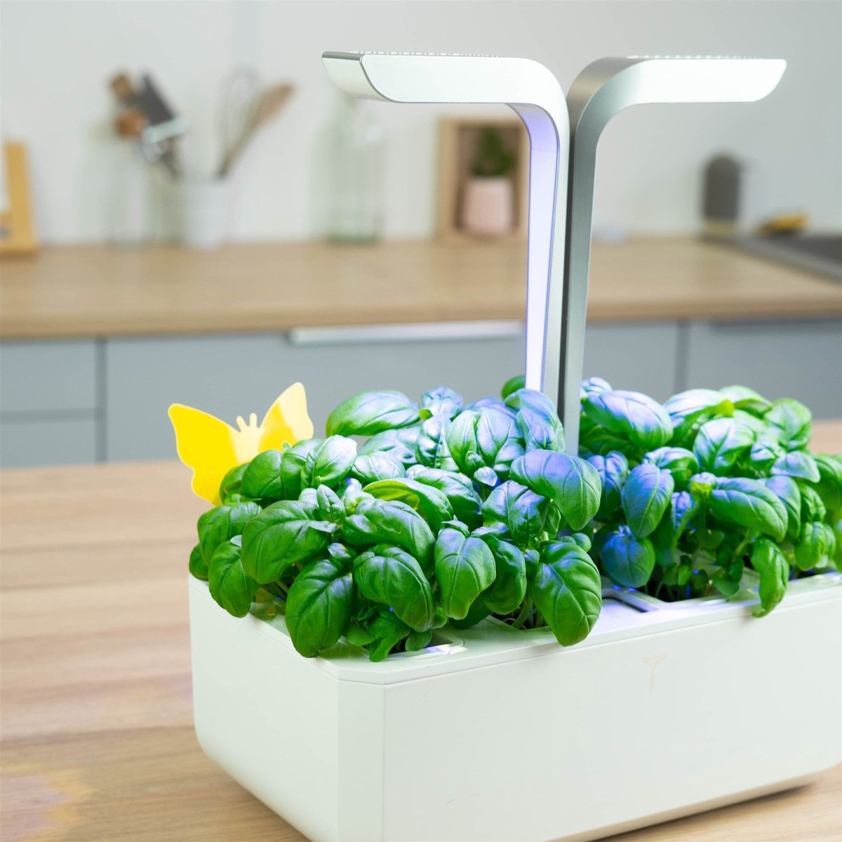 Veritable Véritable 8 vangplaten - tegen insecten