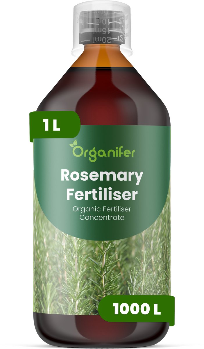 Vloeibare Meststof Voor Rozemarijn 1 L Voor 1000 L - Npk 2-1-8 - Ondersteunt Compacte - Aromatische Groei Bij Rozemarijn - Geschikt Voor Tuinborders, Potten En Verhoogde Plantenbedden - Verbetert De Concentratie Van Essentiële Oliën - Organifer
