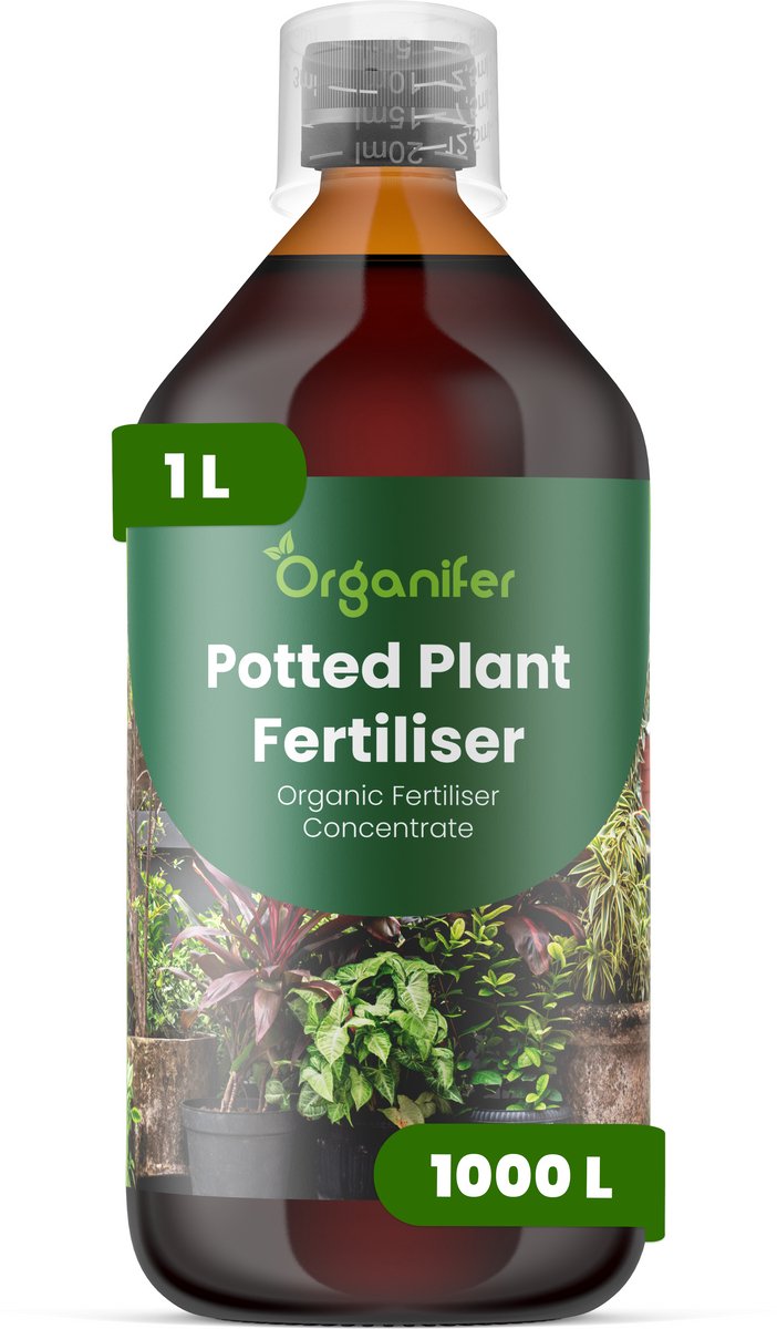 Vloeibare Meststof Voor Potplanten 1 L Voor 1000 L - Npk 3-4-3 Ondersteunt Evenwichtige Groei Bij Potplanten - Bevordert Sterke Wortelontwikkeling - Verbetert Bladstevigheid - Kleur En Algehele Plantvitaliteit - Organifer