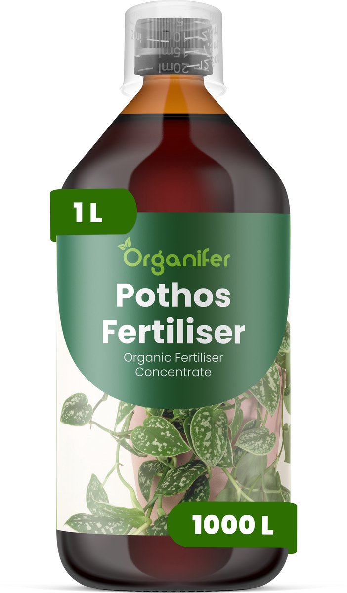 Vloeibare Meststof Voor Pothos 1 L Voor 1000 L - Npk 2-1-8 - Ondersteunt Gelijkmatige Rankgroei En Dicht Blad - Verbetert Wortelactiviteit - Verbetert De Tolerantie Voor Omgevingsstress Binnenshuis - Organifer