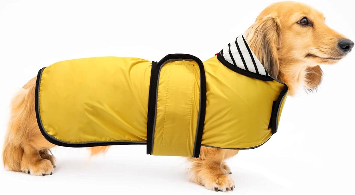 Licht verstelbare regenjas voor honden, waterdichte hondenjas met reflecterende banden en opening voor harnas, Badger Dog Geel-XS