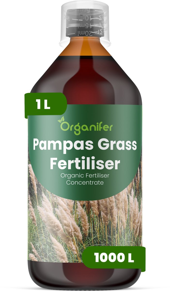 Vloeibare Meststof Voor Pampasgras 1 L Voor 1000 L - Npk 2-1-8 - Vergroot De Pluimgrootte - Dichtheid En De Seizoensgebonden Bloei-Impact - Versterkt Stengels Voor Hoge - Rechtopstaande Groei Bij Winderige Omstandigheden - Organifer