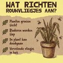 Illustratie van een zieke plant met rouwvliegjes en de tekst "Wat richten rouwvliegjes aan? Planten groeien slecht, bladeren worden slap."