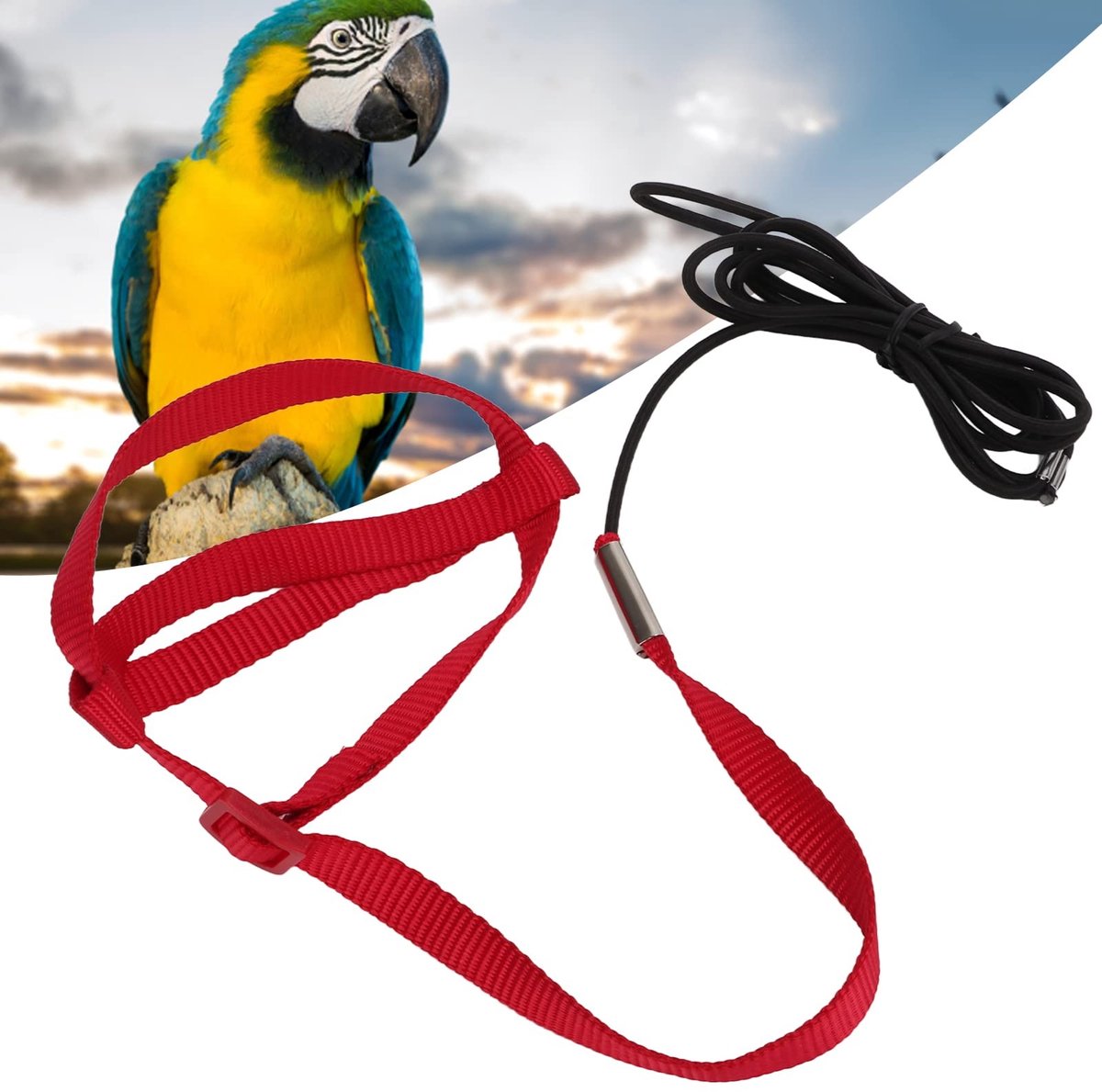 Cosensi- Papegaai Harnas Schokbestendig - Vogel Harnas - Nylon Webbing - Verstelbaar - Training Touw - Inclusief Metalen Haak - Vogelharnas