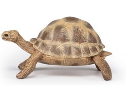 Papo -Handgeschilderde - Figuurtjes -Wild Dierenrijk -Schildpad -50264-Verzamelbaar-Voor kinderen - Geschikt voor jongens en meisjes - Vanaf 3 jaar
