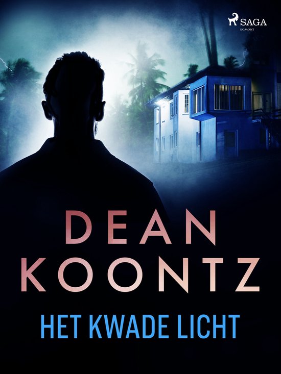 Het kwade licht - cover