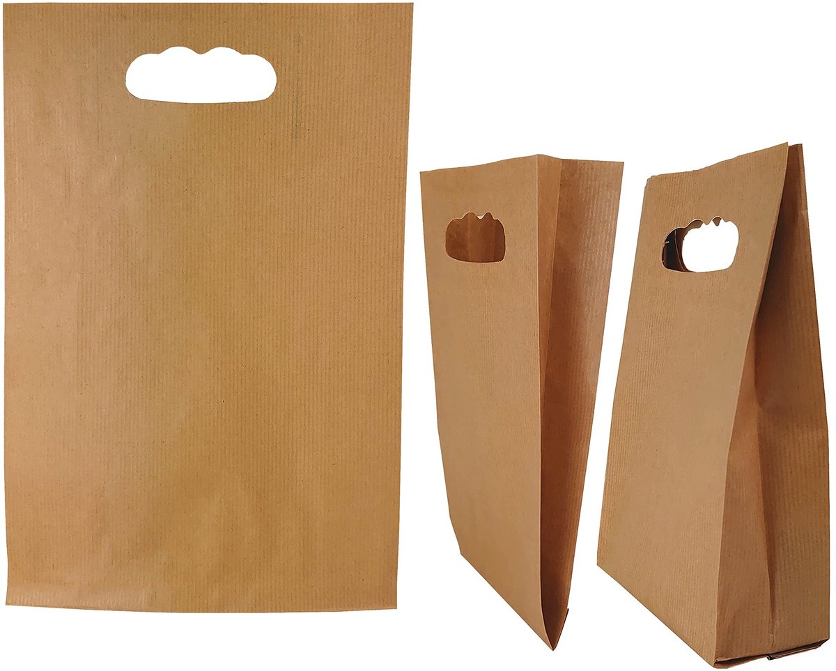 Dailygoods - 50 Stuks Papieren Draagzakken met Handgreep voor Cadeaus