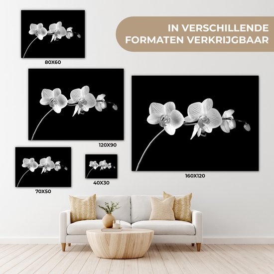 Canvas schilderij 120x90 cm - Wanddecoratie Orchidee - Bloemen - Zwart - Roze - Knoppen - Muurdecoratie woonkamer - Slaapkamer decoratie - Kamer accessoires - Schilderijen op canvas