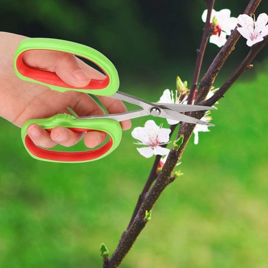Bonsai schaar roestvrij staal - Japanse tuingereedschap - fruitboom tak trimmen - druivenschaar - professioneel gereedschap . van Merkloos	 — afbeelding 4