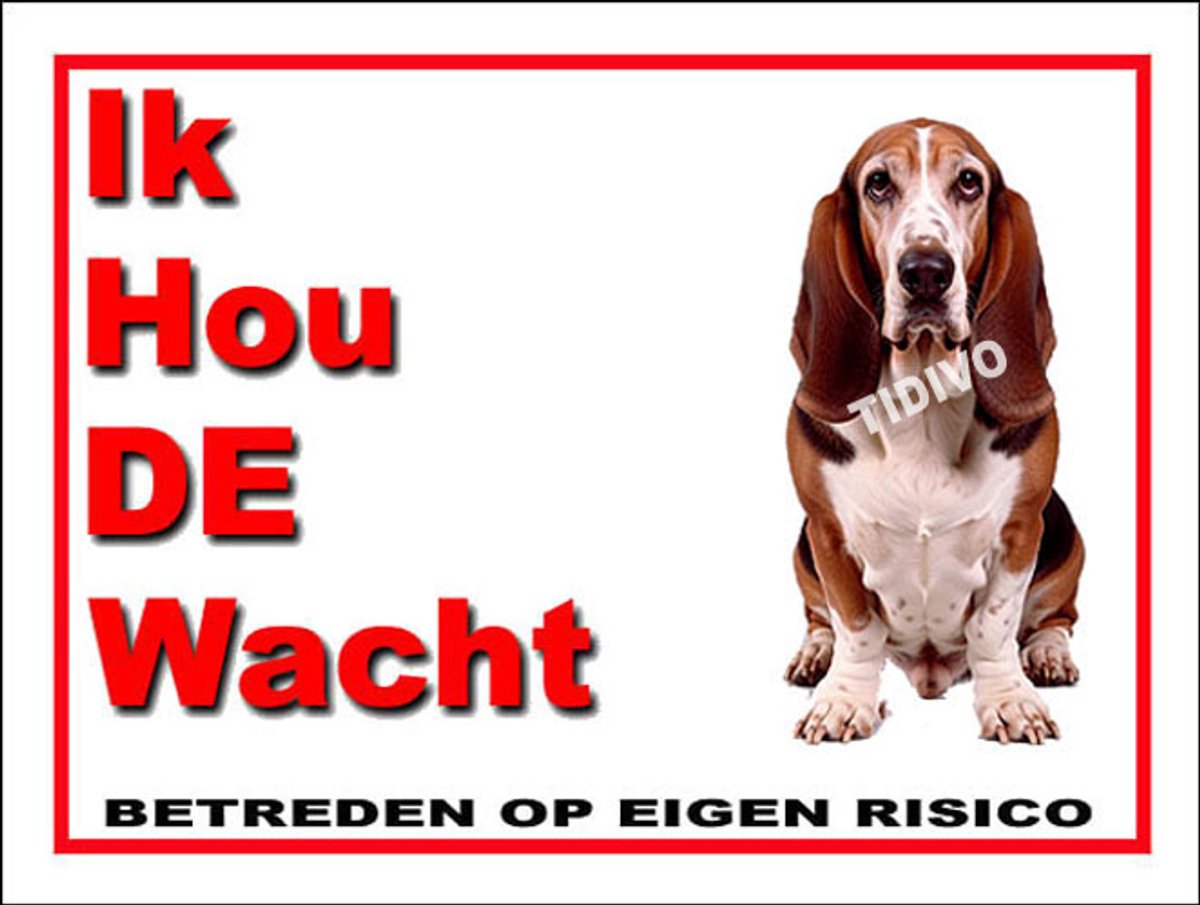 Duitse Brak 7