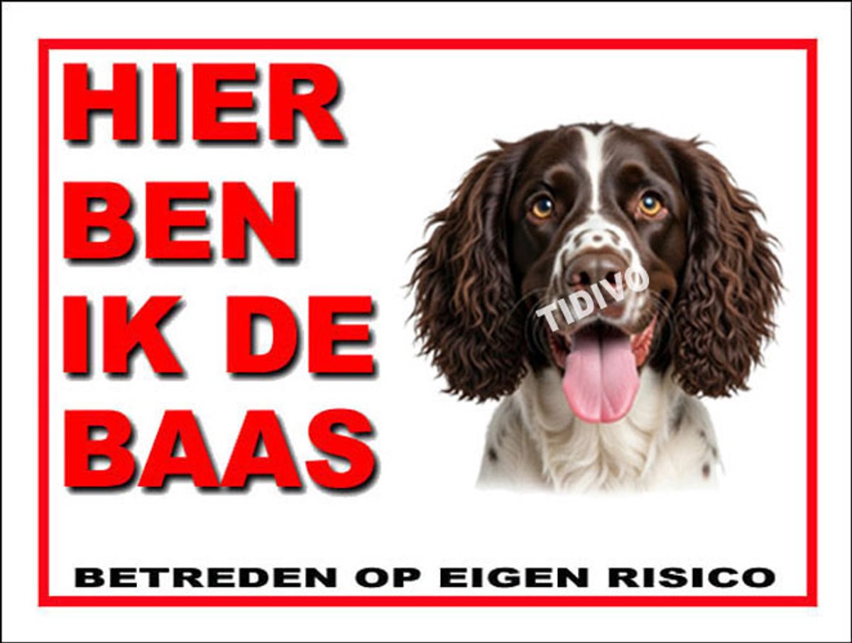 Drentsche Patrijshond 2