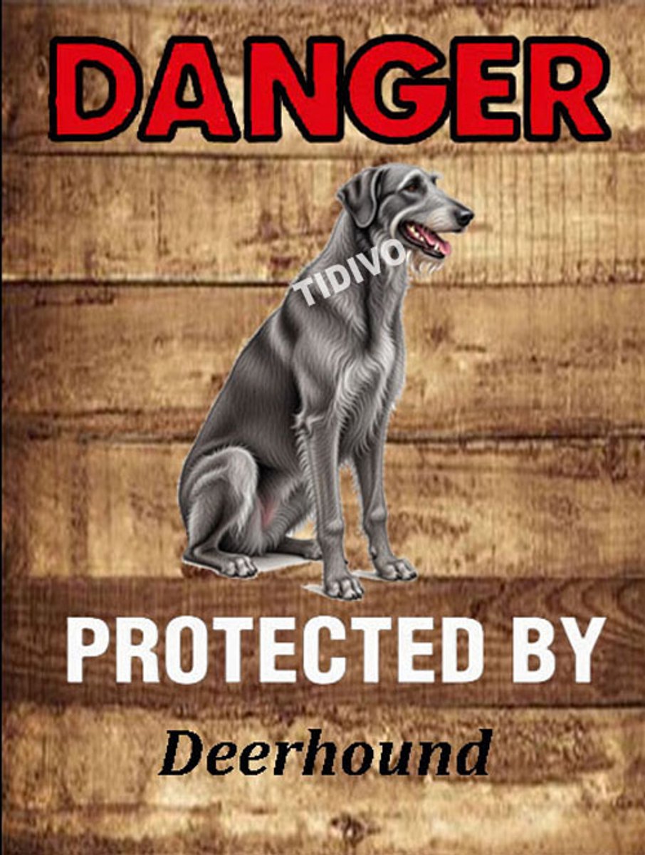 Deerhound 19