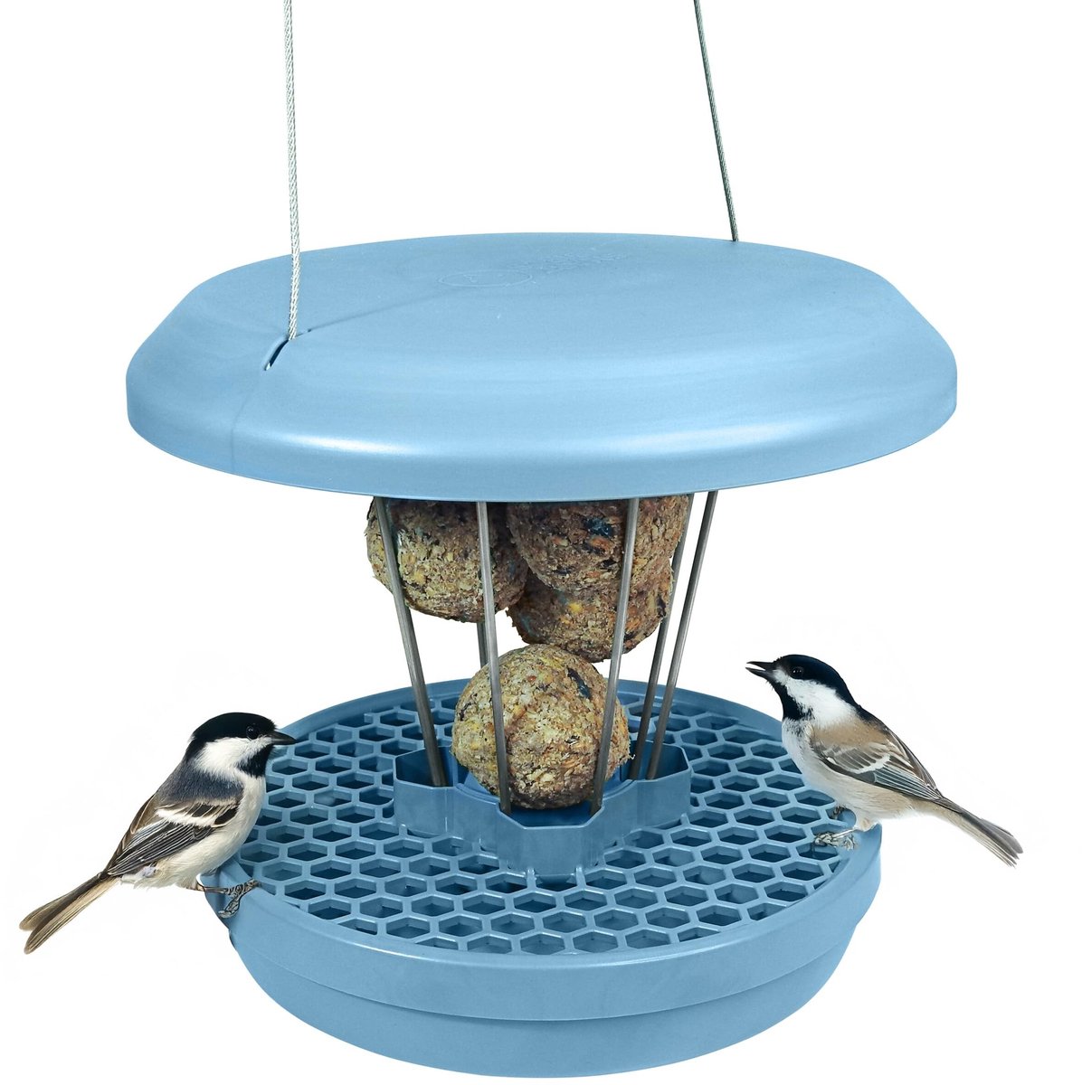 Elzusha - Vogelvoederhouder - Muizen- en Rattenbestendig - Lichtblauw - Voor Roodborstjes - Hangend Voederstation