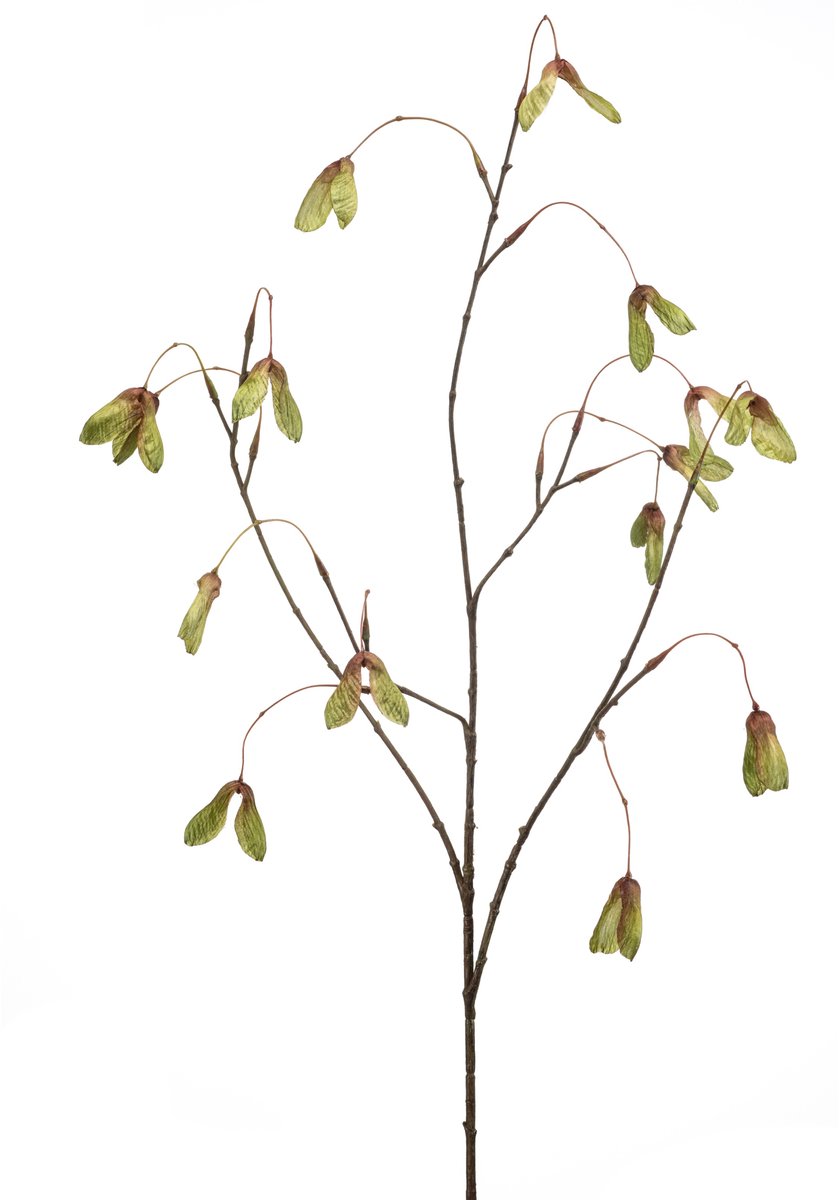 Kunsttak Maple Seed - Realistisch - Onderhoudsvrije Decoratie