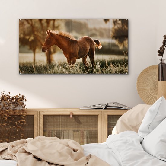 ® Glasschilderij 80x40 cm - Schilderij acrylglas - Paard - Licht - Weide - Foto op glas - Muurdecoratie woonkamer - Wanddecoratie slaapkamer - Schilderijen