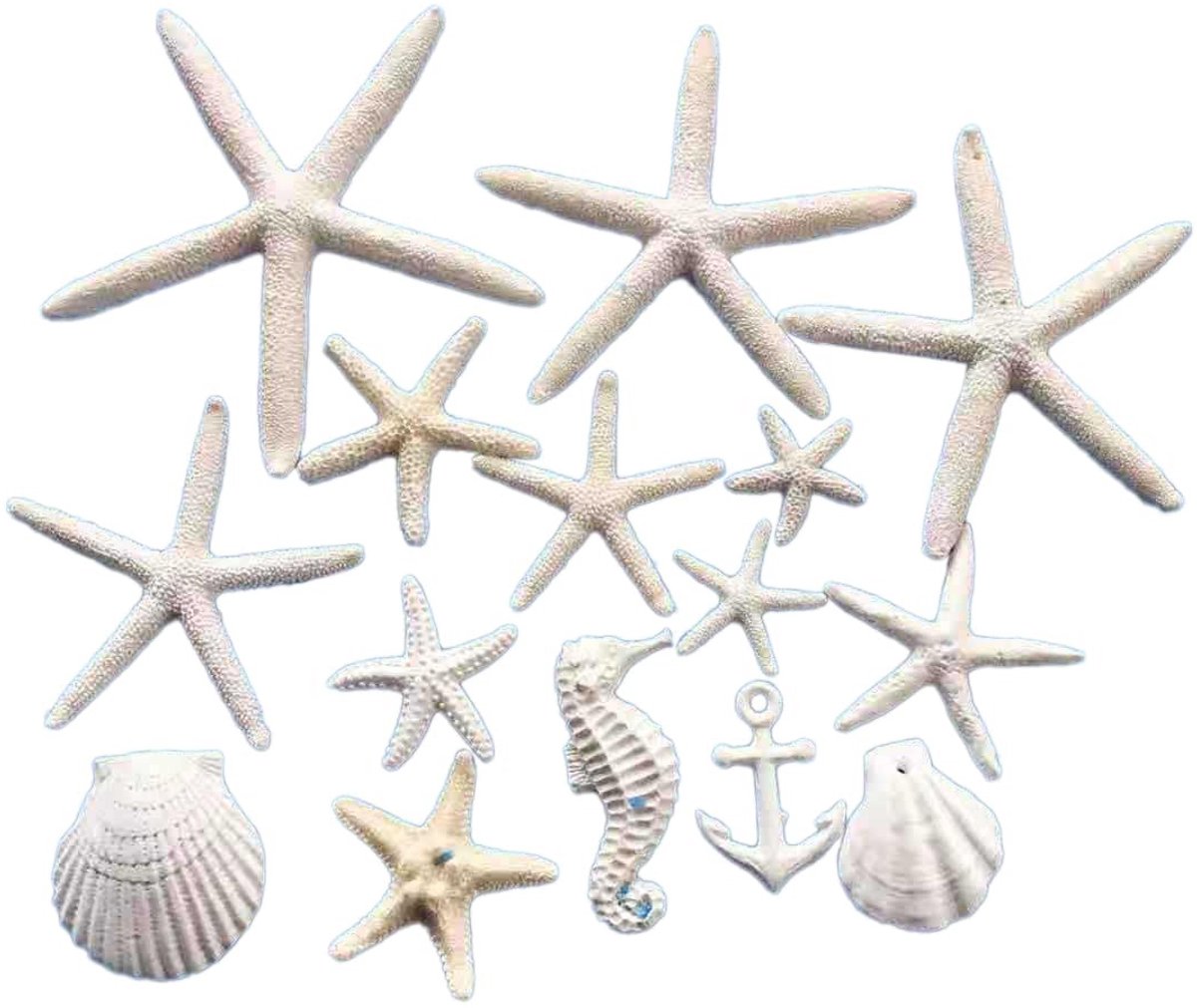 Dailygoods - Dailygoody - Aquariumdecoratie - Zeesterren en Zeepaardjes - 15 stuks - Wit - Perfect voor feesten en aquaria - Decoratieve elementen voor tuin en hal