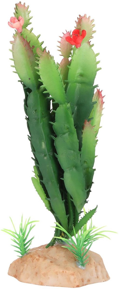 Dailygoods - Dailygoody - Reptiel Planten - Terrarium Decoratie - Simulatie Plastic Cactus - Hagedis en Gekko - Woestijn Landschap - Geschikt voor Terrarium