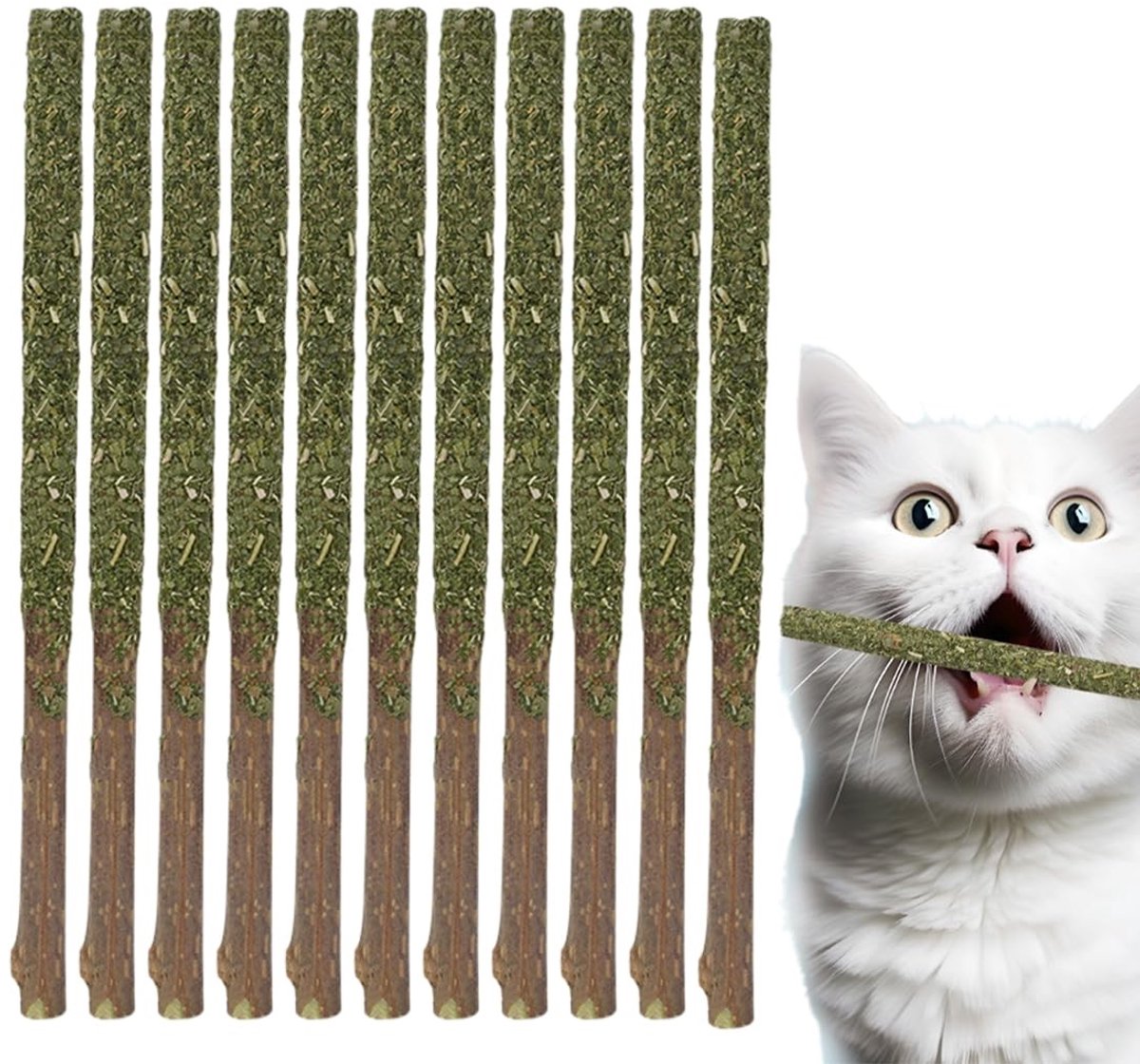 Dailygoods - Dailygoody - Matatabi kattenkrabstokken - Natuurlijk speelgoed - Gezonde tanden - 12 stuks - Tandverzorging - Frisse adem - Geschikt voor katten
