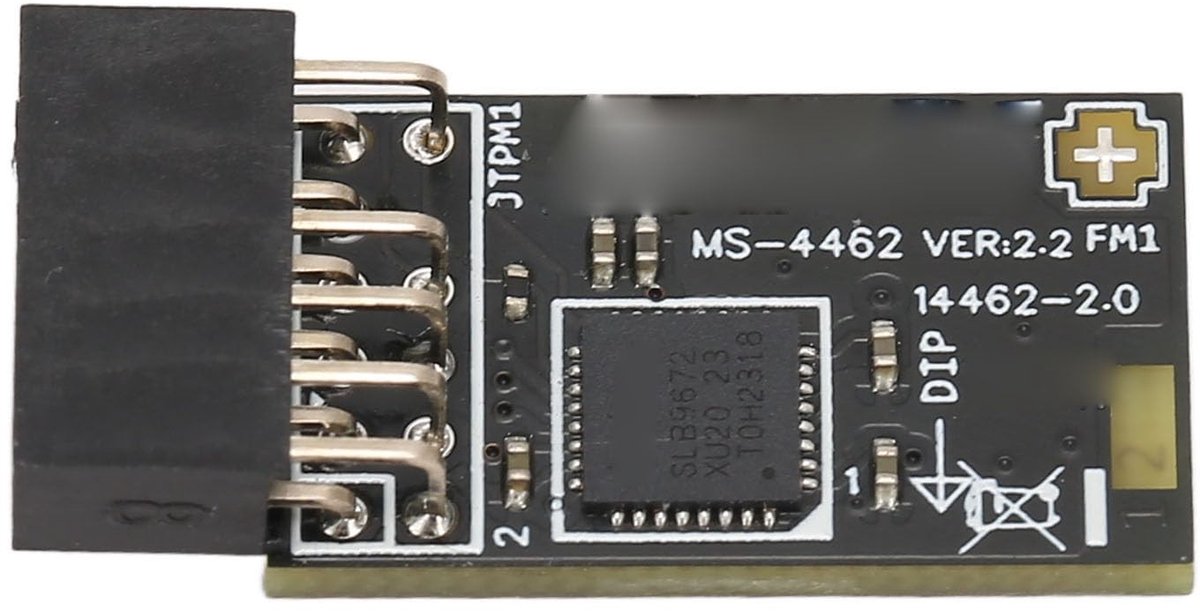 Dailygoods - TPM 2.0 Encryptie Beveiligingsmodule met SPI 12Pin
