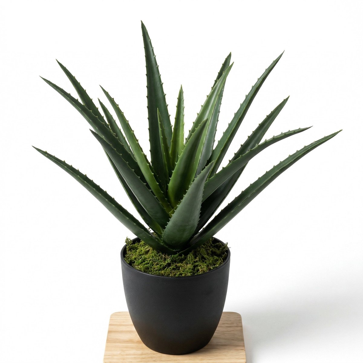 Cheqo® Kunstplant Aloë Vera - Nepplant - Kamerplant - Namaak Plant - Vetplant - Woondecoratie voor Binnen - in Pot - Succulent - Decoratieve Plant voor Woonkamer en Kantoor - Groen