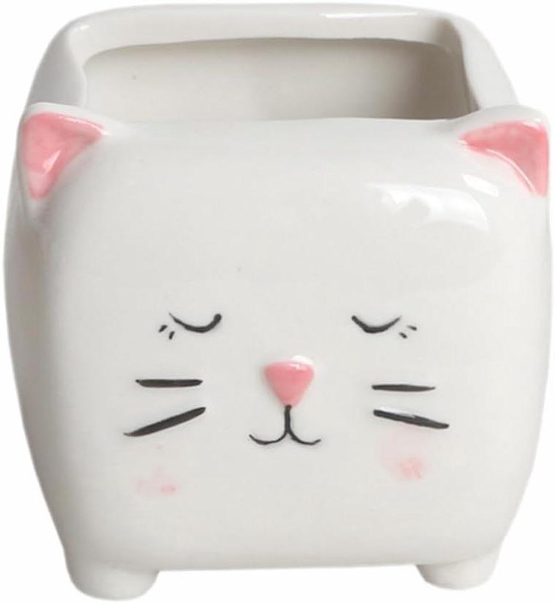 Katten Plantenpot - Dieren Pot - Kamerdecoratie - Met Drainagegat - 8x6 cm