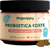 Probiotica Forte - Zalmsmaak - 100% Natuurlijk - 60 heerlijke snoepjes - Ondersteunt Darmflora & Spijsvertering van je Hond - bij Slappe of Harde Ontlasting, Gras Eten, Moeizame Stoelgang & Gevoelige Darmen - 3.4 miljard CFU Probiotica per snoepje