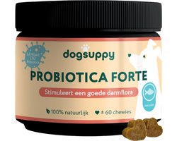 Probiotica Forte - Zalmsmaak - 100% Natuurlijk - 60 heerlijke snoepjes - Ondersteunt Darmflora & Spijsvertering van je Hond - bij Slappe of Harde Ontlasting, Gras Eten, Moeizame Stoelgang & Gevoelige Darmen - 3.4 miljard CFU Probiotica per snoepje