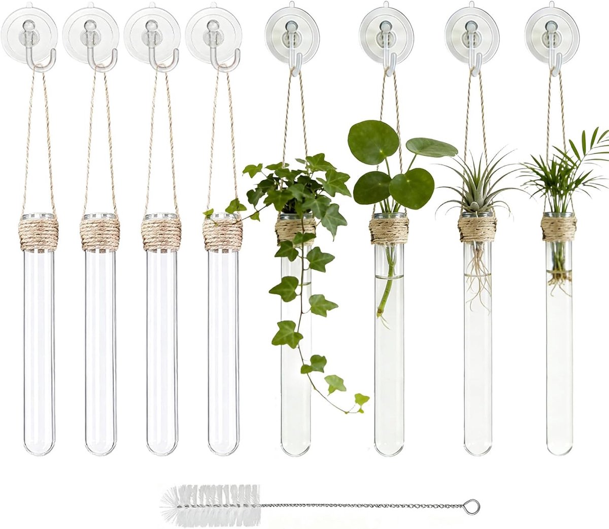 Stekkenhouders - Hydrocultuur Buizen - Planten Kweken - Zuignap Bevestiging - 8 Stuks Set