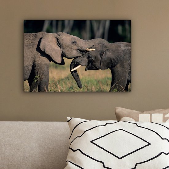 Toile d'éléphants gambadeurs 2cm 30x20 cm - petit - Tirage photo sur toile (Décoration murale salon / chambre) / animaux sauvages Peintures sur toile