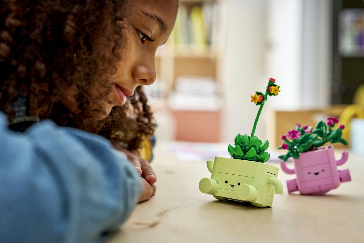 LEGO Botanicals - Schommelende Plantjes Bloemen Bouwpakket voor Kinderen - 11506 — afbeelding 13