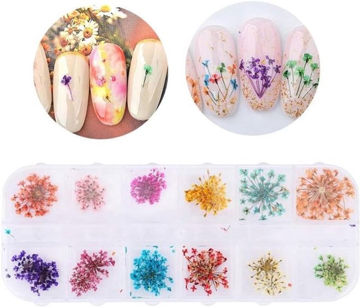 - Gedroogde Bloemen - Nail Art - 12 Kleuren - DIY - Decor - Mini - Gepast voor merk - Versiering