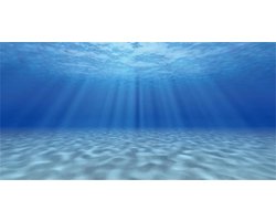 Aquarium Achtergrond 61x30cm Onderwater Wereld Zonneschijn Vinyl Decoratie