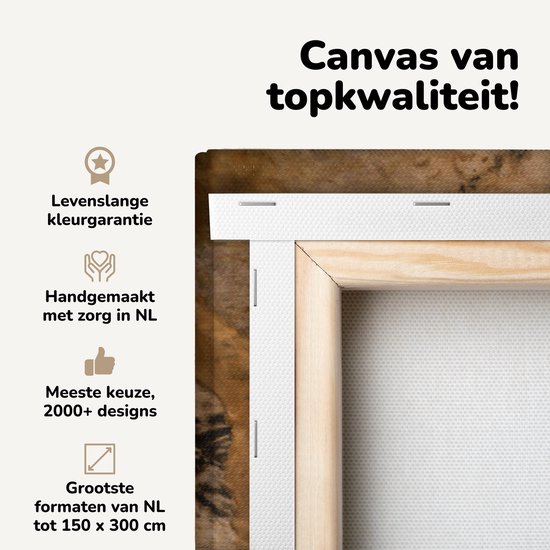 Canvas schilderij 120x80 cm - Wanddecoratie De grot van Lascaux als een prehistorische grot in Frankrijk - Muurdecoratie woonkamer - Slaapkamer decoratie - Kamer accessoires - Schilderijen op canvas