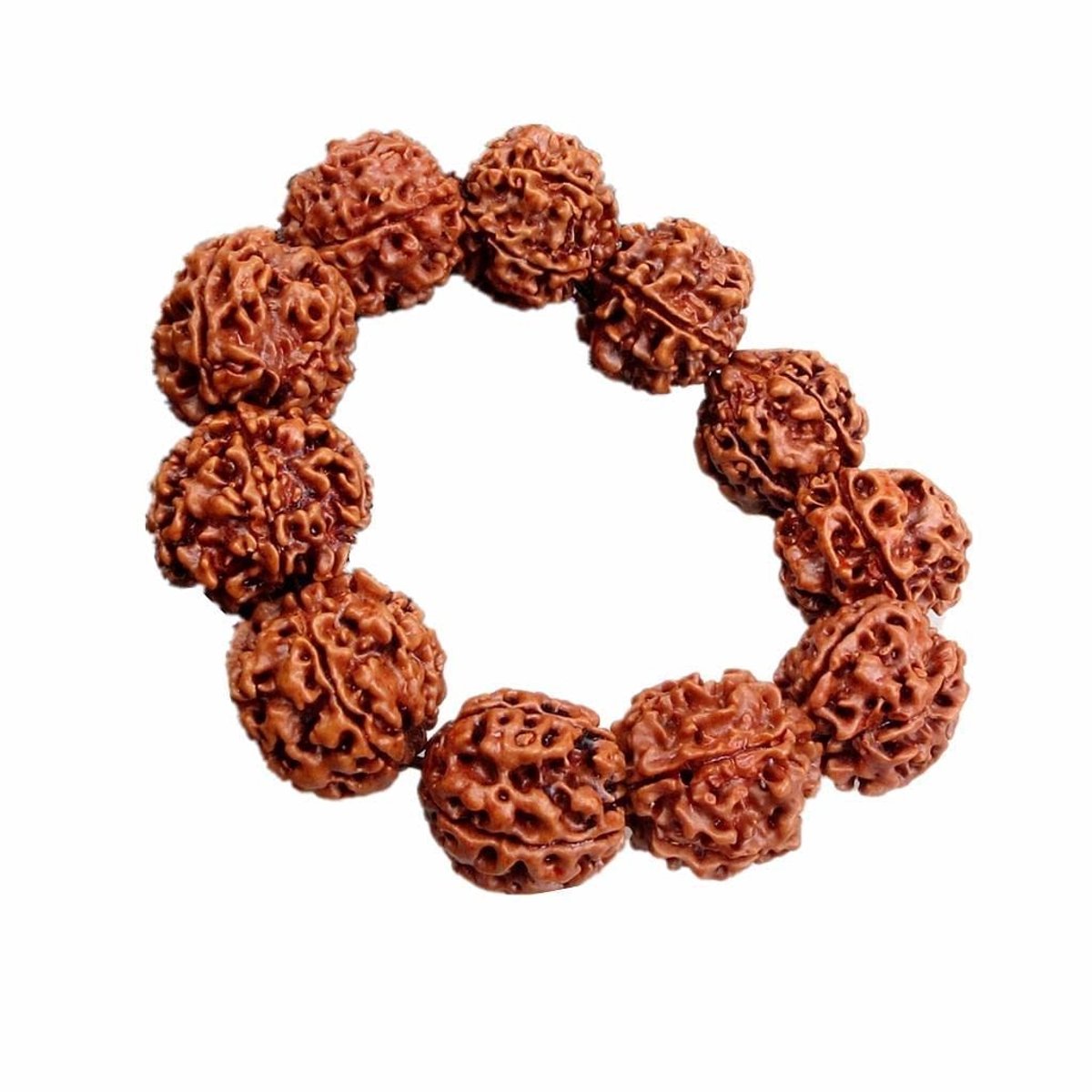 Dailygoods- Armband 20 mm - Rudraksha - Gebedsketting - Meditatie - Beschermende eigenschappen - Unieke energie - Gebedsarmband