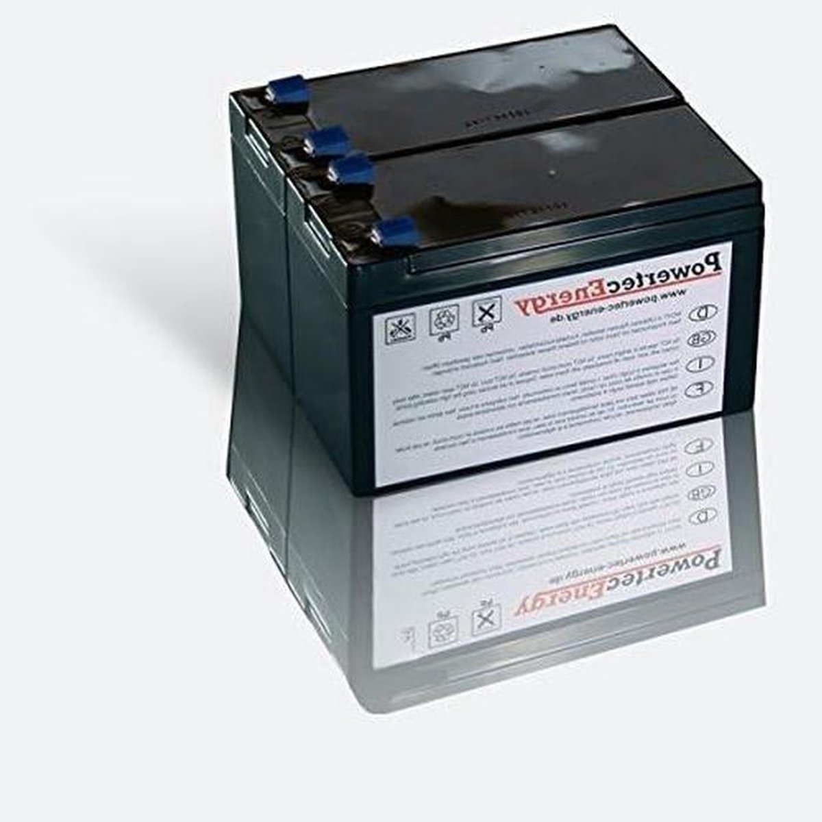 UPS Batterij Vervanging - Accu Set - Stroom Stabiliseren - AGM Technologie - 2x 12V - Zwart