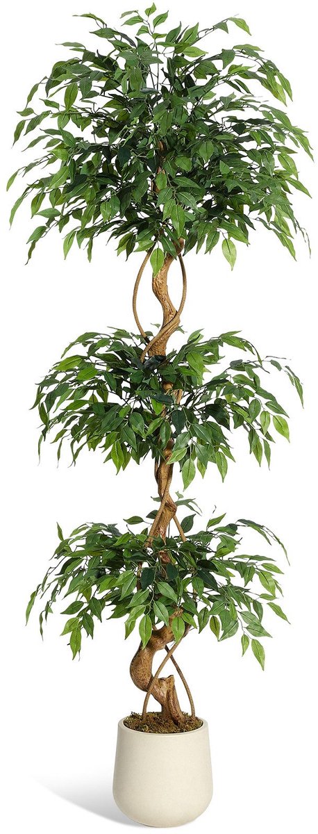 Triumpunpre 180cm kunstficus met gebogen stammen - 1-laagse kunstplant zijden boom met witte plantenbak - kunstficus voor binnenhuisdecoratie thuis Groen