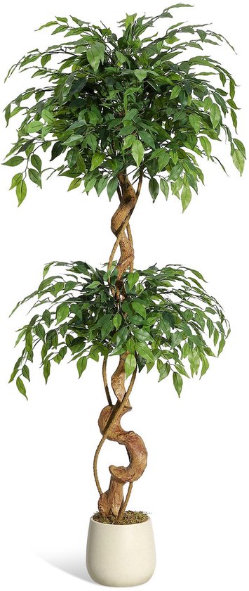 Ficus artificiel de 150 cm avec troncs courbés - Plante artificielle en soie à 1 couche avec pot blanc - Ficus artificiel pour la décoration intérieure de la maison
