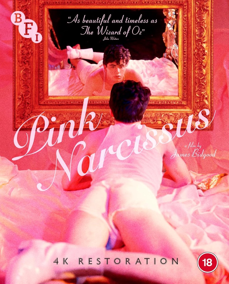 Pink Narcissus - blu-ray - Import