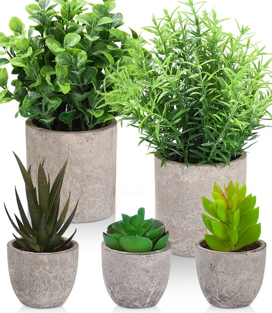 Vier kunstplanten: twee grote planten met groene blaadjes en sprietjes, drie mini vetplanten met groene en roodgroene bladeren.