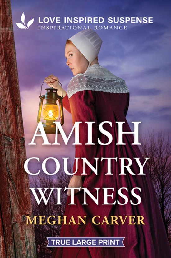 Plain Secrets- Amish Country Witness - cover