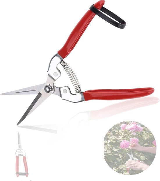 Plantenschaar en snoeischaar×2, kleine rechte schaar, oogstschaar, takkenschaar, fruitboom voor tuin, bonsai, planten, bloemen, rozen, boeket, takken, oogst, groenten en fruit, grow, accessoires (recht)